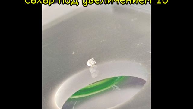 соль и сахар под микроскопом