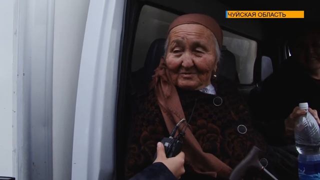 ЦВЕТЫ МЕСТО ШТРАФОВ