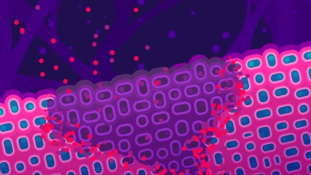 О коронавирусе.mp4