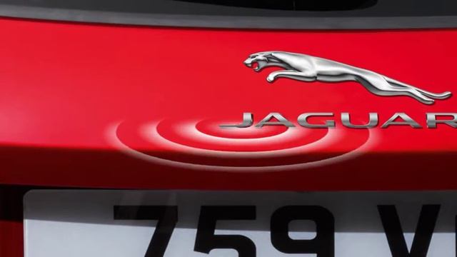 Домашний рай