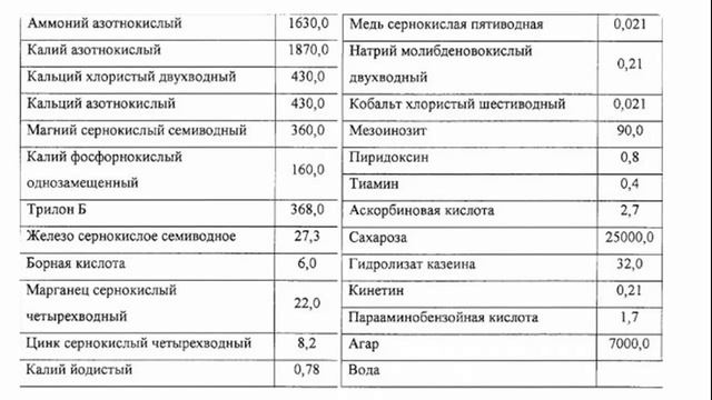 Как увеличить урожайность любого картофеля на 70% с помощью меристемного метода