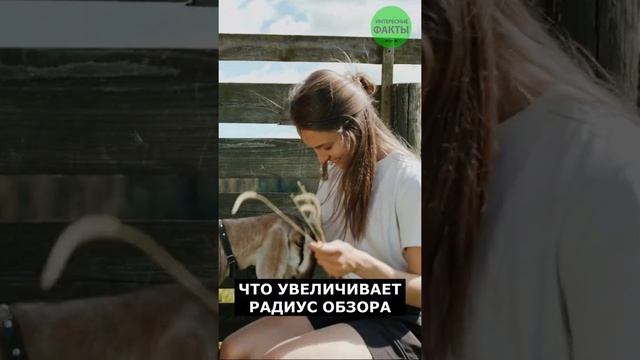 Как легко отличить хищников от травоядных??? #факты