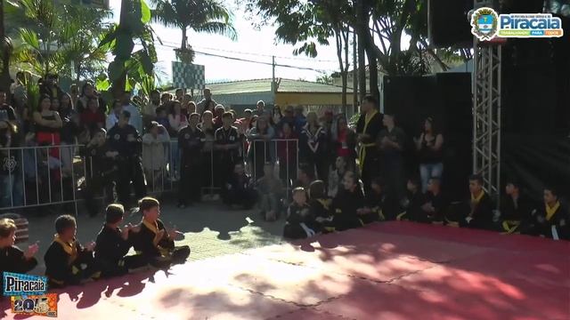 Apresentação De Ginástica Artística De Solo E Do Hapkido -  Piracaia 205 Anos
