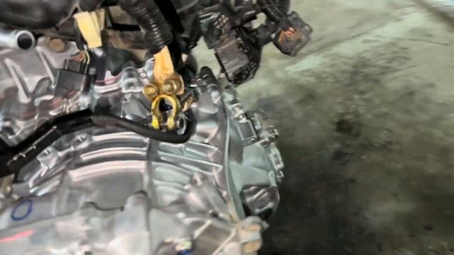 Honda Car Customization