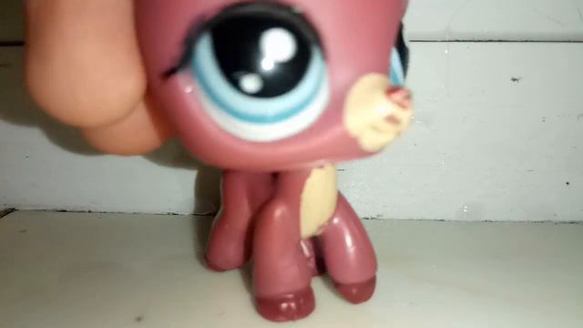 Куда я еду??? Почему не будет видео? (Простите за качество)