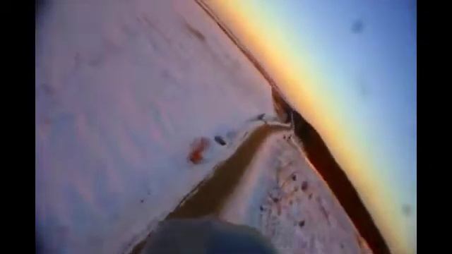 21 C мороз Falcon+ArkBird