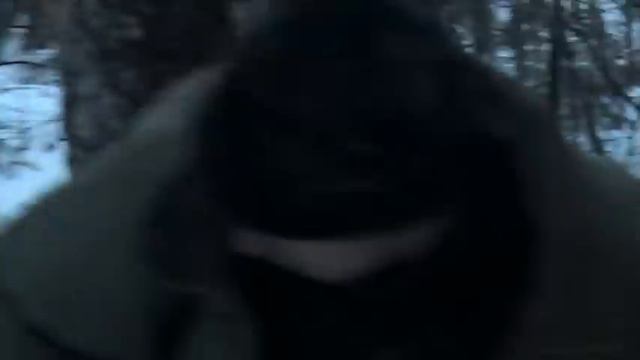 Кошачьи игры: спорт и развлечения