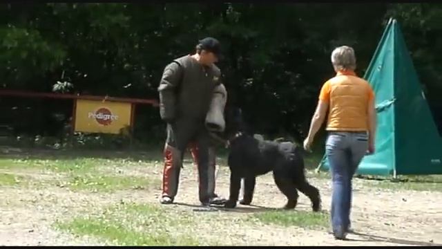 03d9f0798857b21495866efa62925110