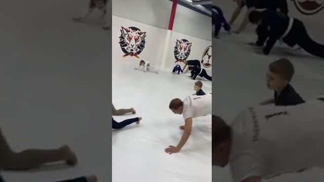 День семьи в Ronin Family. Тренировка по бразильскому джиу-джитсу для детей и взрослых