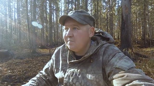 Изба в Горельнике. Строить или Нет?