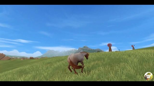 Покупка Американского Квотерхорса | Star Stable Online Quarter Horse