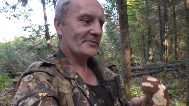 B3047c1d6b31849a1bf15e26be56e442