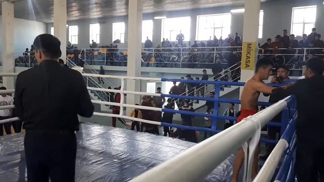 Проф бой по муайтай/ Андижан