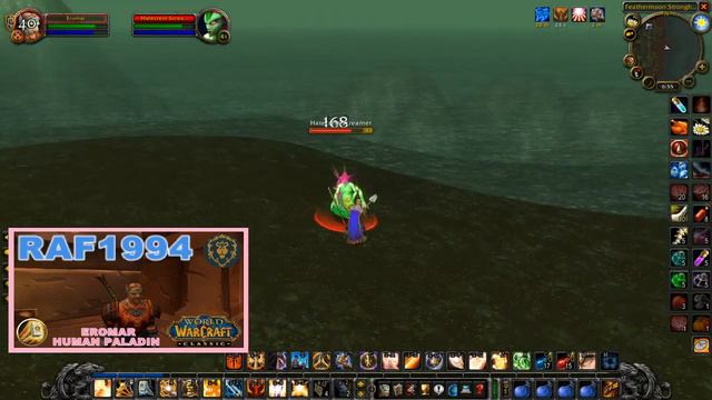 WoW Classic Paladin Leveling 12/4/20