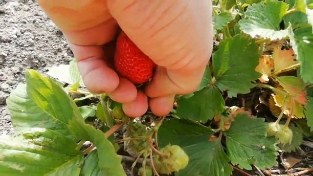 Aca34b27893dcf8f290bf13c22360218