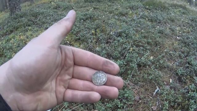 Осенний коп 2017