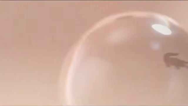 634579bb00674dea6b424c5a1ec24587