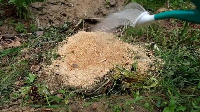 Стройка Формат