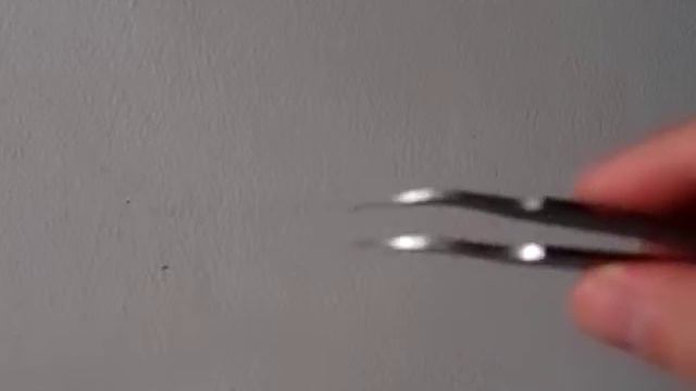 Tamiya Twezzer Curved