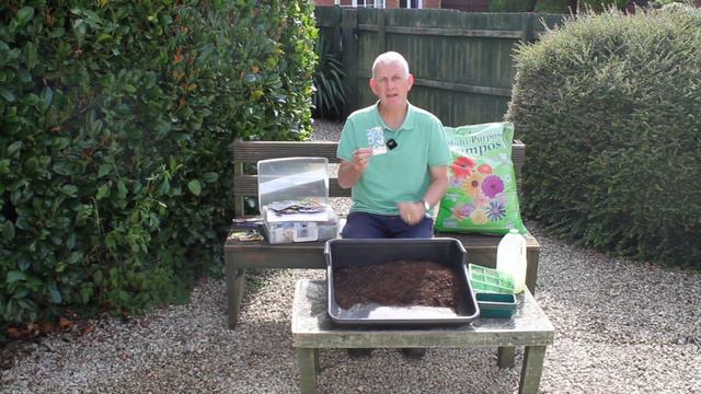 Which Flower Seeds To Sow In August For An Amazing Colourful And Vibrant Spring/Summer Display #123