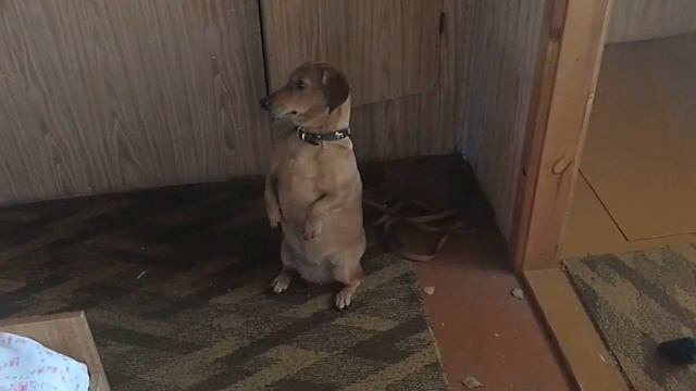 879b79d2fc2304b9b715518aff1372e6