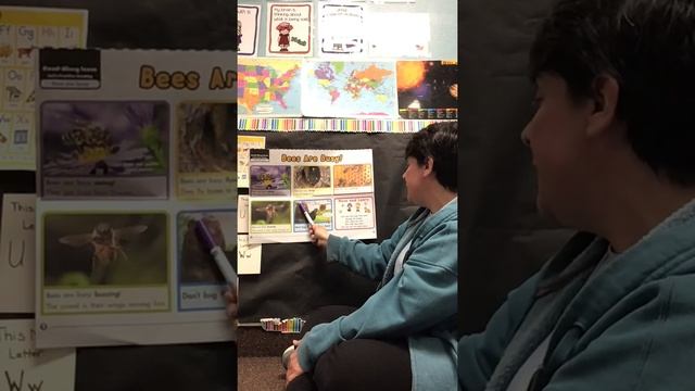 Scholastic Reader Time- Let’s Find Out- Busy, Buzzy Bees: What Keeps Bees Busy?