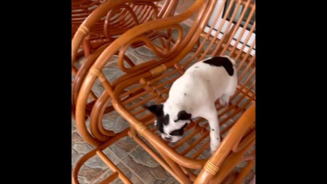 🌈Калейдоскоп Дока 2️⃣