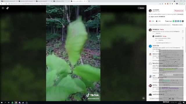 Микротиктоковый перед Fran Bow