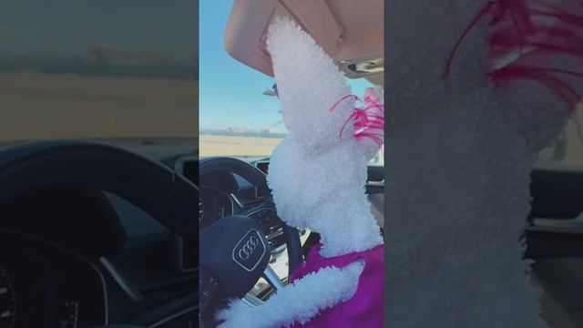 Darci Lynne Petunia Learns How To Drive Funny Video