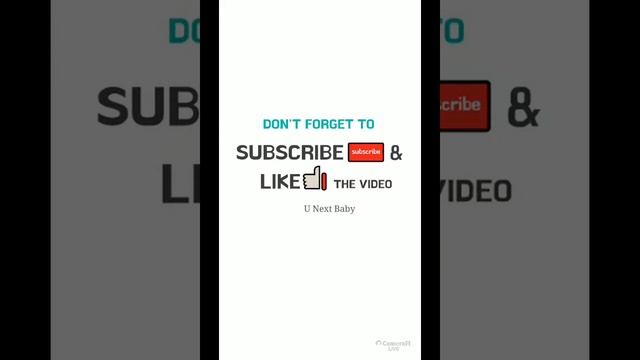 Кайзерслаутерн — Кёльн (онлайн трансляция)