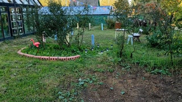Любимая ДАЧА ? Уборка на грядках Сажаю многолетние цветы ?????