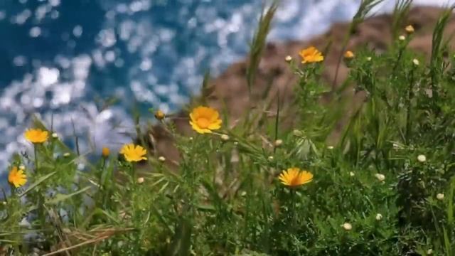 Лучшие истории про волков, опубликованные за год. Истории про волков. Аудио рассказы.