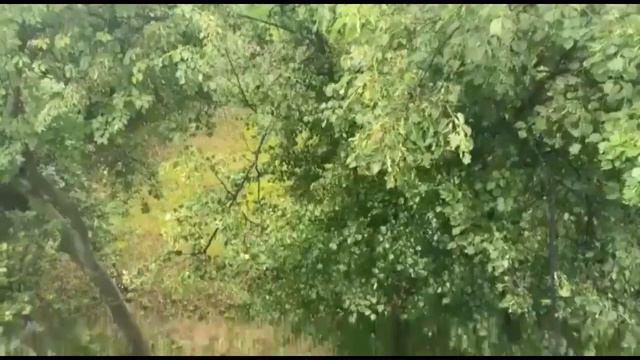 Областное родительское собрание 