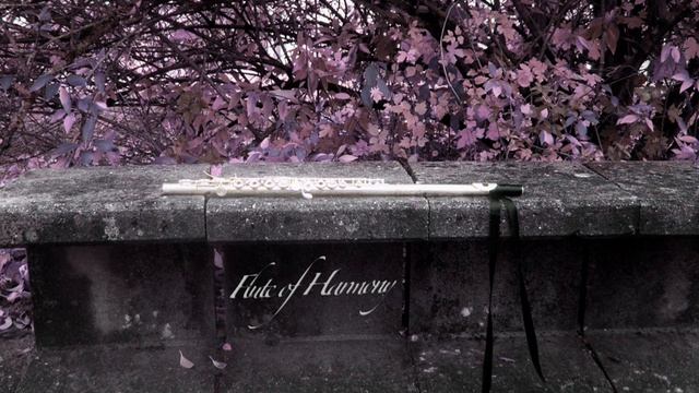 Flute Of Harmony - Sadness And Sorrow Vs Grief And Sorrow