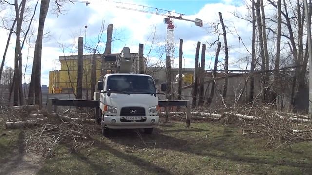 Опил40 Спилить дерево Калуга