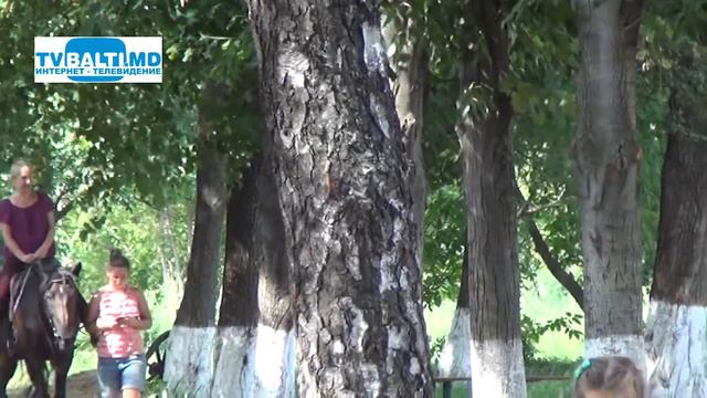 В конно- спортивном клубе можно отдахнуть и расслабиться 22 08 17