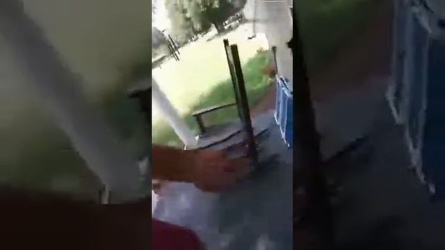 Как убрать пчелиный (осиный) улей | ВНИМАНИЕ НЕ ПОВТОРЯТЬ ДОМА!!!