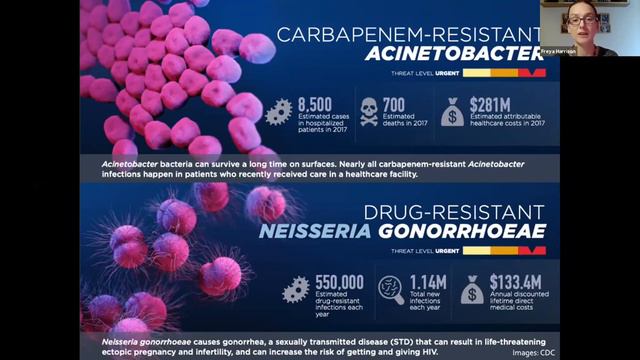 Unlocking The Medieval Medicine Cabinet