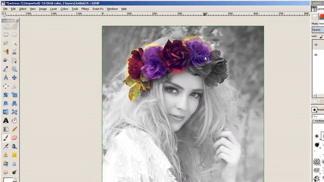 How To Create A Color Splash Effect In GIMP ( In Tamil With ESubs )