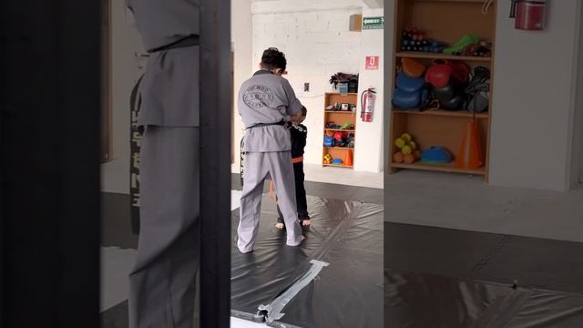 Examen Sin Moo Hapkido Alex