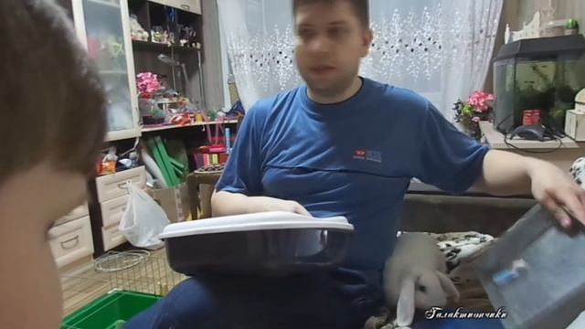 7cdbe65c0711afb03e8301abf6612080