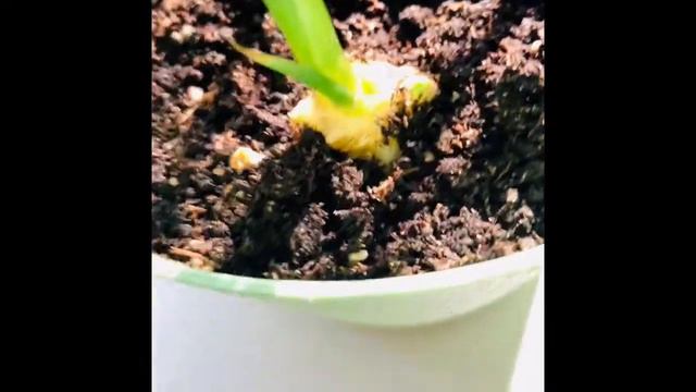 1bff168ea966fd3912b7b58804cbbb93