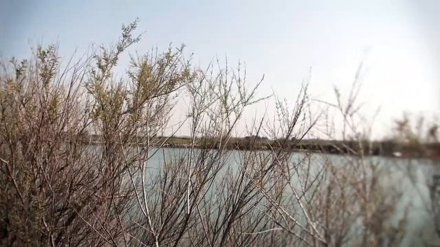 B5dbbaac5483dc3969a619922cdd6417