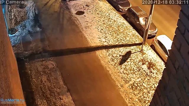 Камера видеонаблюдения 4G 2Мп 1080P PST VN-GBUF20