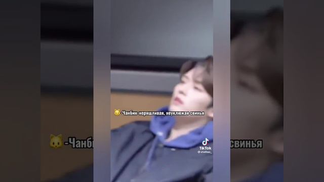 YouCut_20240817_183412381.mp4