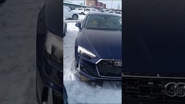 Отчёт из Бишкека.