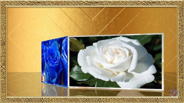 С Днем рождения Очень красивое золотое поздравление