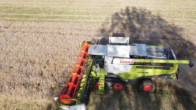 Claas Lexion 750 Bei Der Rapsernte 2020 Mit DJI Mavic Mini Drohne Gefilmt Canola Harvest Mähdresche