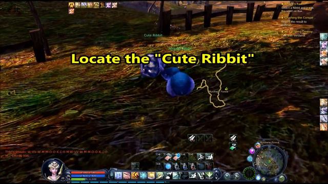 How To Select A Ribbit And Break The Spell On Rae - Where's Rae? Aion Classic Gameplay
