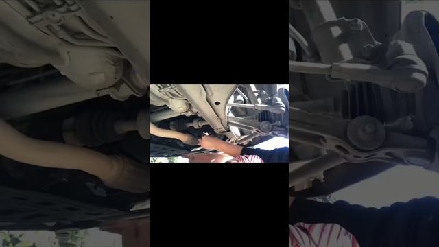 Дай-Ву: Автомобили по всему свету